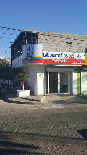 Laboratorios Del Vallado