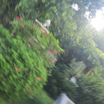 Photo n°10 de l'avis de rafael.l fait le 08/10/2023 à 16:19 sur le  Hotel Ideale à Milan