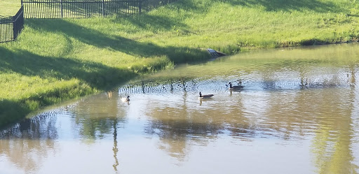 Department Store «Walmart Supercenter», reviews and photos, 2900 Kirk Rd, Aurora, IL 60502, USA