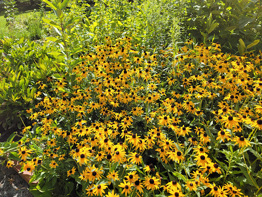 Historical Place «Sully Historic Site», reviews and photos, 3650 Historic Sully Way, Chantilly, VA 20151, USA