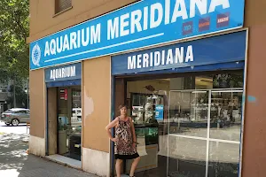 Aquarium Meridiana image