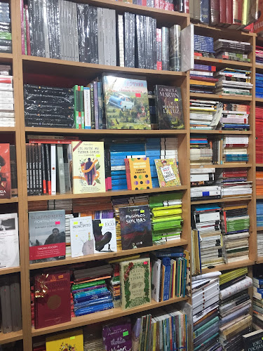 Opiniones de Librería Lugar sin Límites en Providencia - Librería