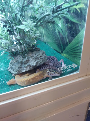 Pet Supply Store «PetSmart», reviews and photos, 263 Midway Blvd, Elyria, OH 44035, USA