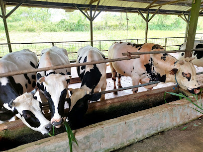 Viknesh Dairy Farm