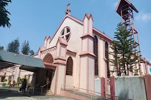 Pink Sisters' Convent and Chapel image