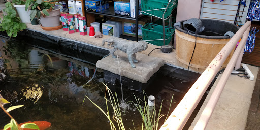 Pet Store «Pet Paradise Grooming», reviews and photos, 1115 Pueblo Blvd Way, Pueblo, CO 81005, USA