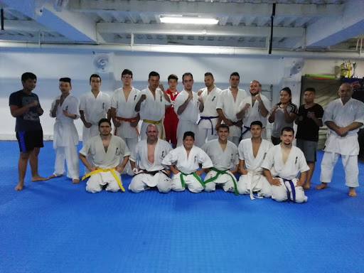 Kung fu lessons Bucaramanga