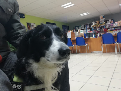 Clinique Vétérinaire du Pays de Matisse à Le Cateau-Cambrésis