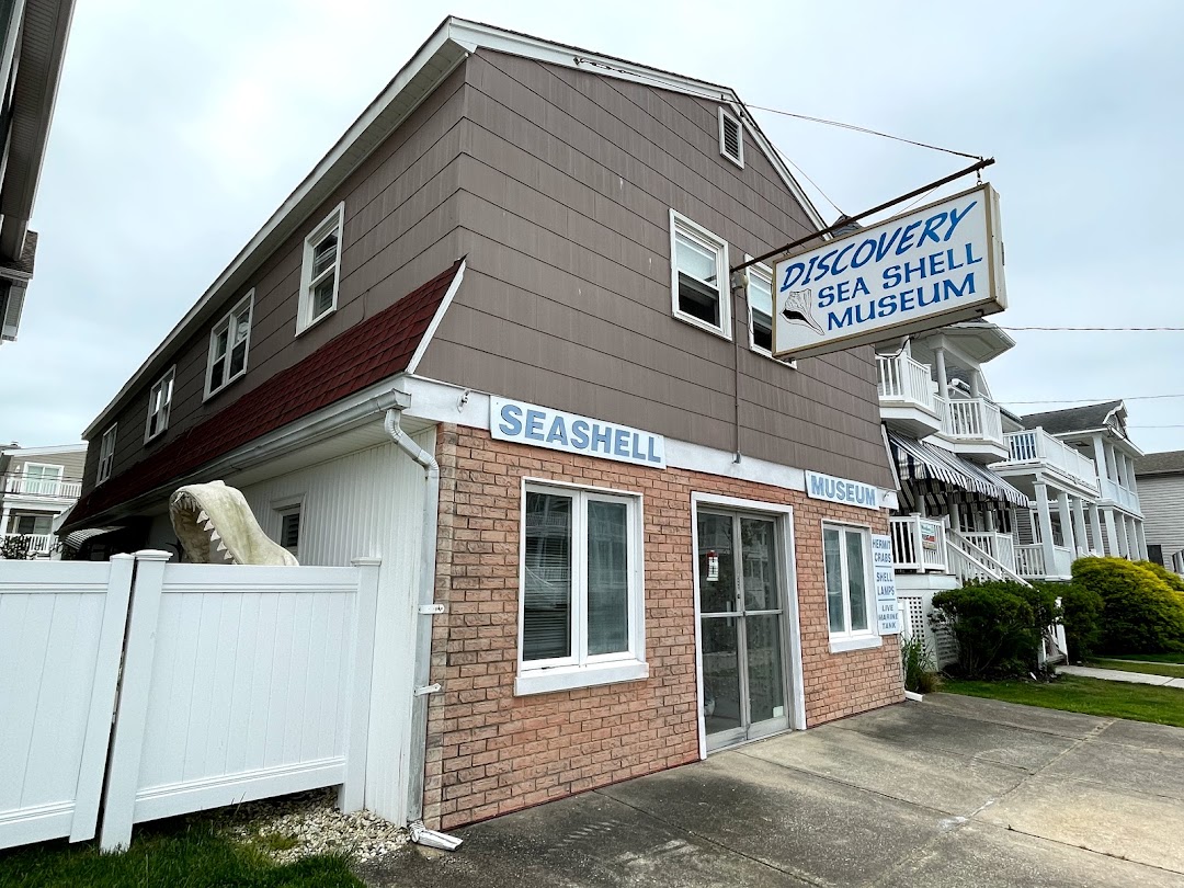 Discovery Seashell Museum