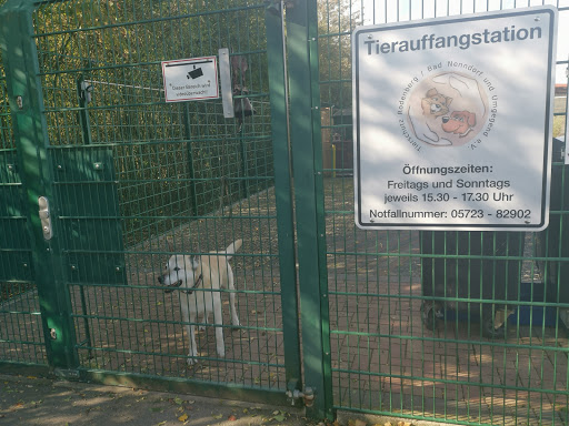 Tierauffangstation unter Bad Nenndorf, 