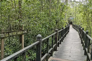 Taman Negara Johor Tanjung Piai image