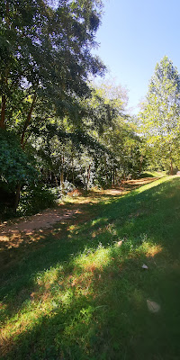 Bord du lignon à Boën-sur-Lignon