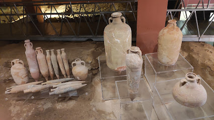 Museo – Factoría Romana de Salazones – Puerto de Mazarrón