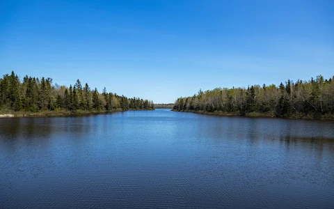 Irishtown Nature Park image