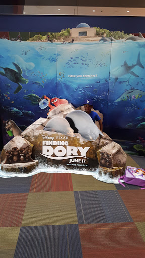 Movie Theater «MJR Chesterfield Crossing Digital Cinema 16», reviews and photos, 50675 Gratiot Ave, Chesterfield, MI 48051, USA