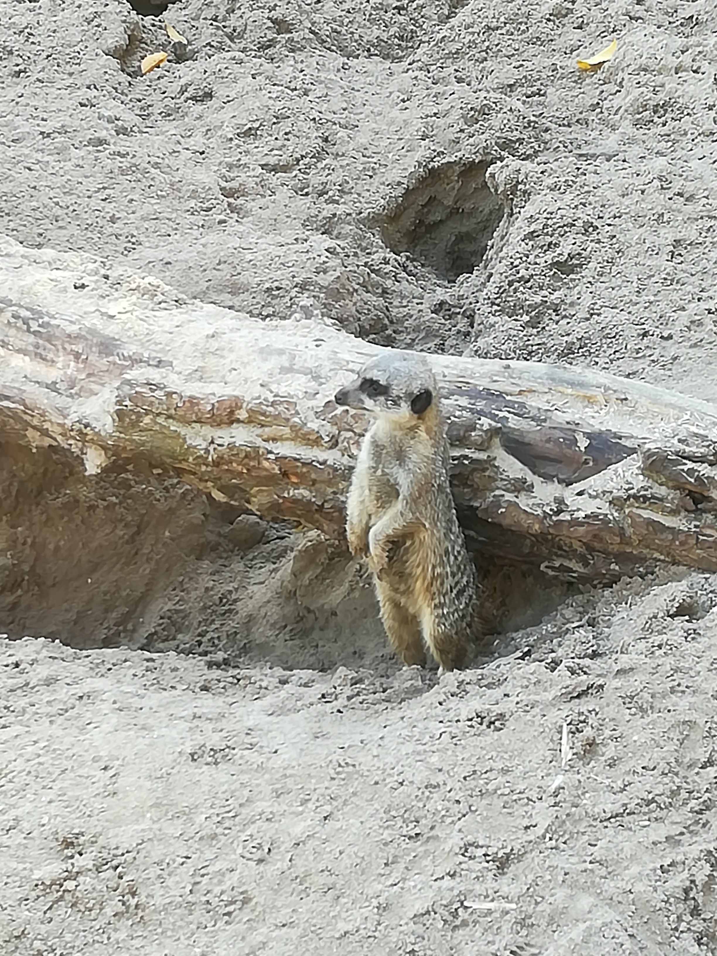 Photo n° 4 de l'avis de Sébastien.o fait le 09/10/2022 à 19:26