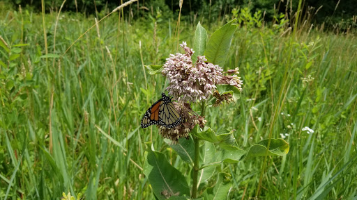 Tourist Attraction «The Underground Railroad Experience Trail», reviews and photos, 16501 Norwood Rd, Sandy Spring, MD 20860, USA