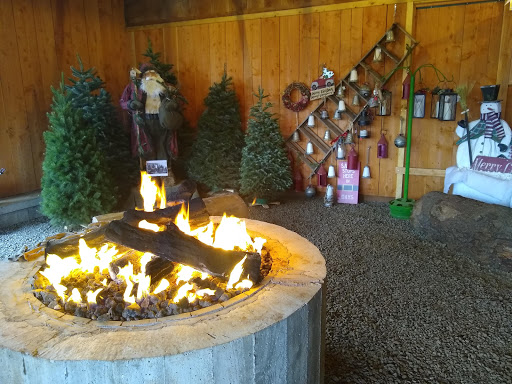 Christmas tree farm Salem