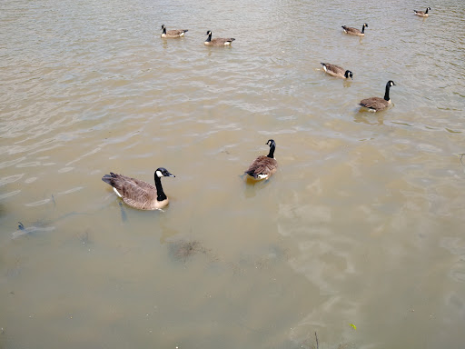 Park «Allen Pond Park», reviews and photos, 3330 Northview Dr, Bowie, MD 20716, USA