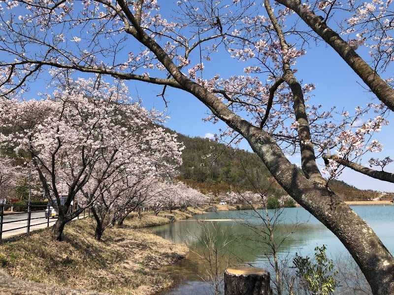 長寿の森・豊穣池 セブンの森