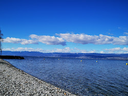 Plage de Sciez photo #6