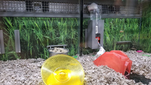 Pet Supply Store «Petco Animal Supplies», reviews and photos, 5850 Sepulveda Blvd, Van Nuys, CA 91411, USA