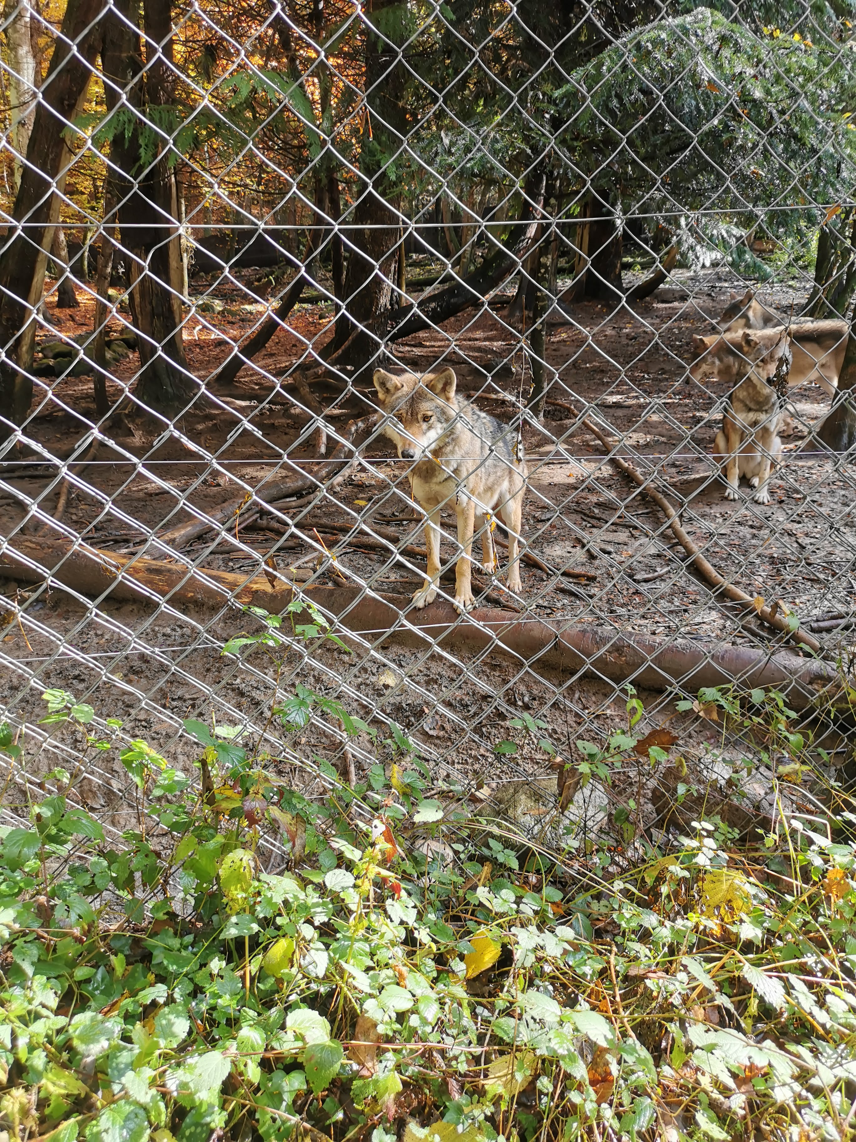 Photo n° 8 de l'avis de sandrine.e fait le 17/11/2019 à 11:04