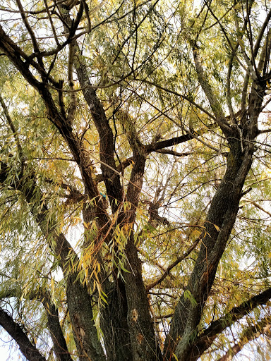 Golf Course «Brighton Park Golf Course», reviews and photos, 70 Brompton Rd, Tonawanda, NY 14150, USA