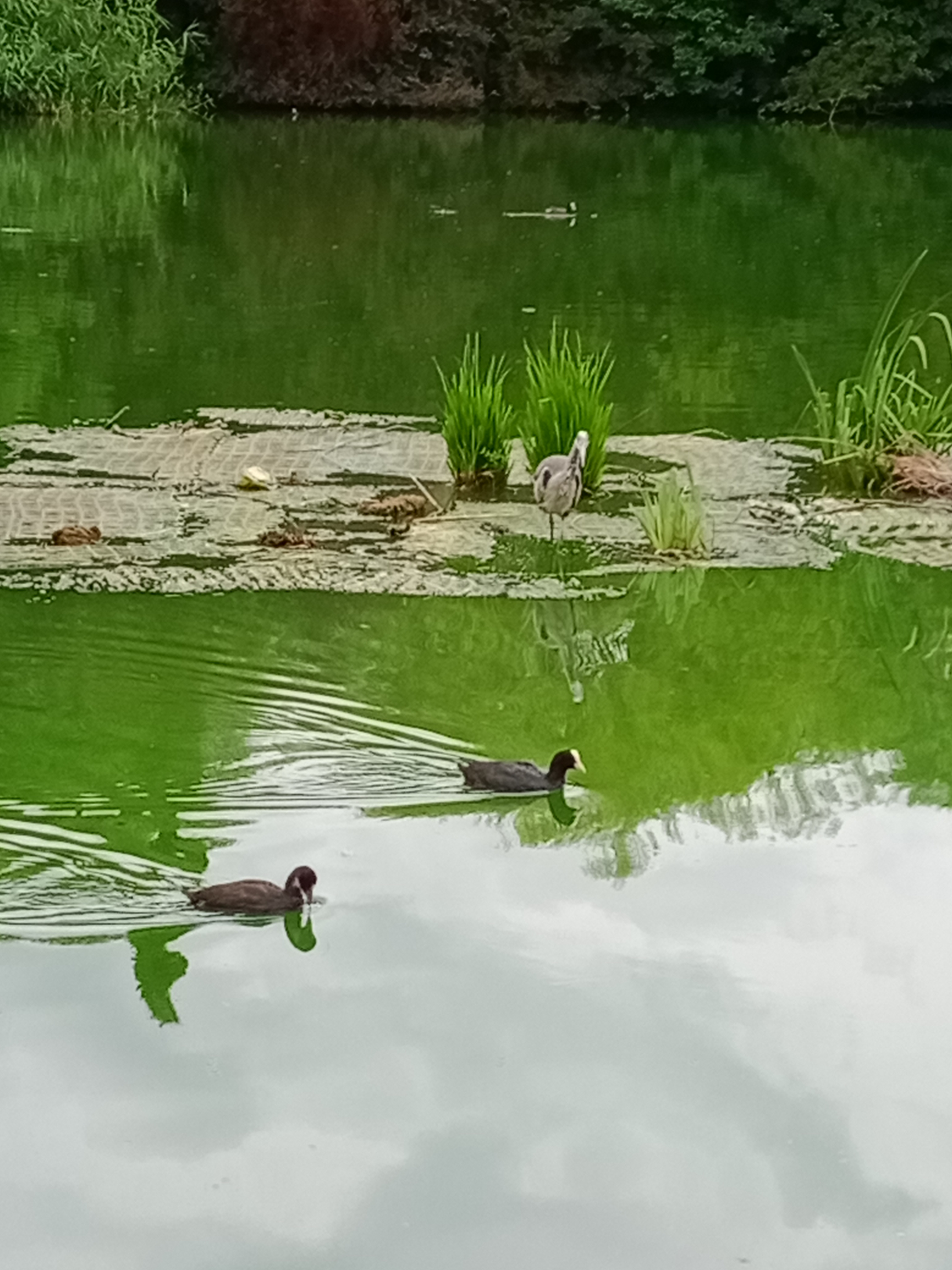 Photo n° 2 de l'avis de Franck.o fait le 14/04/2022 à 15:53