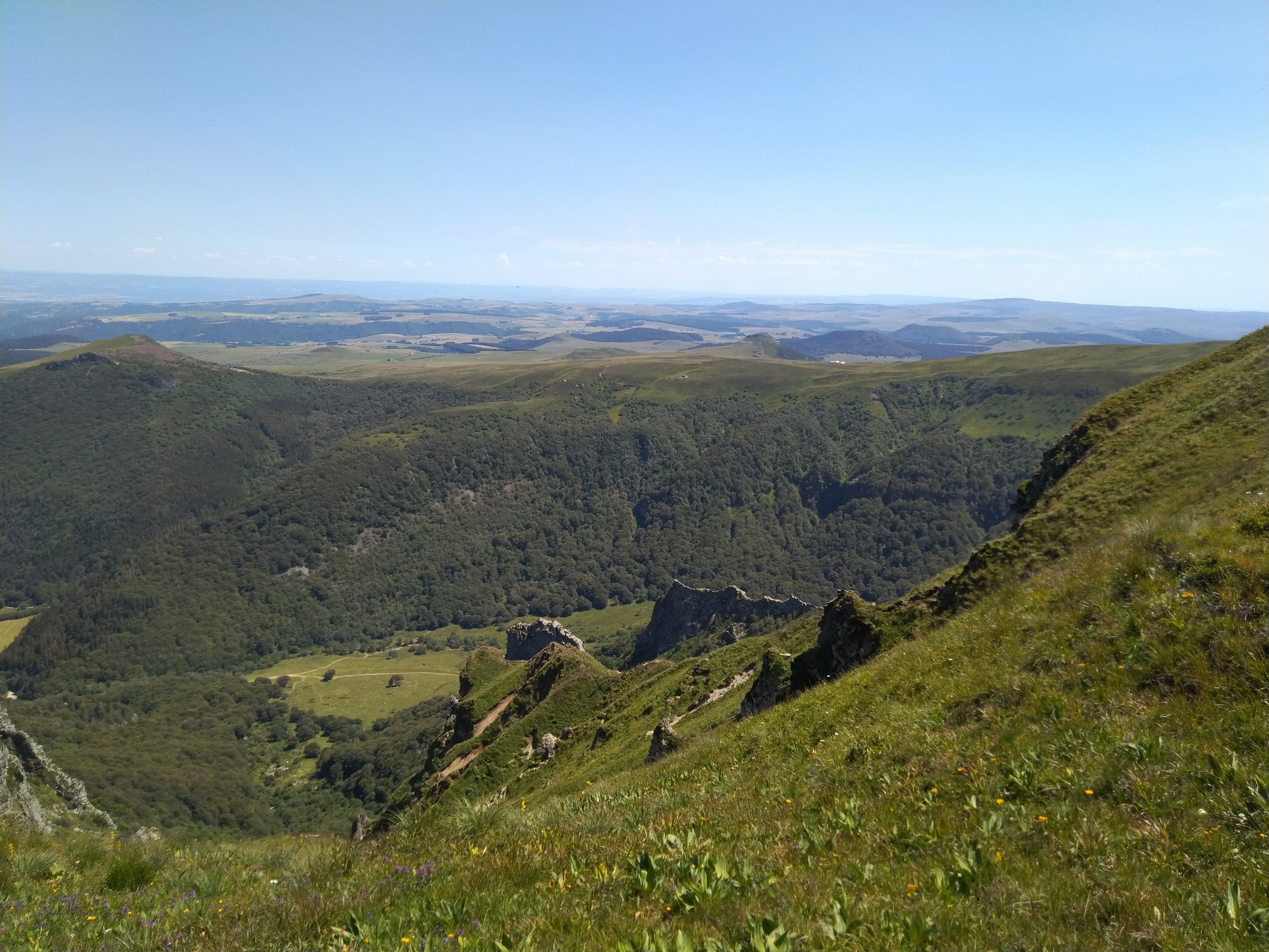 Photo n° 1 de l'avis de Holst.i fait le 22/07/2020 à 20:27