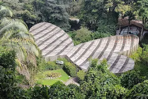 Quindío Botanical Garden image