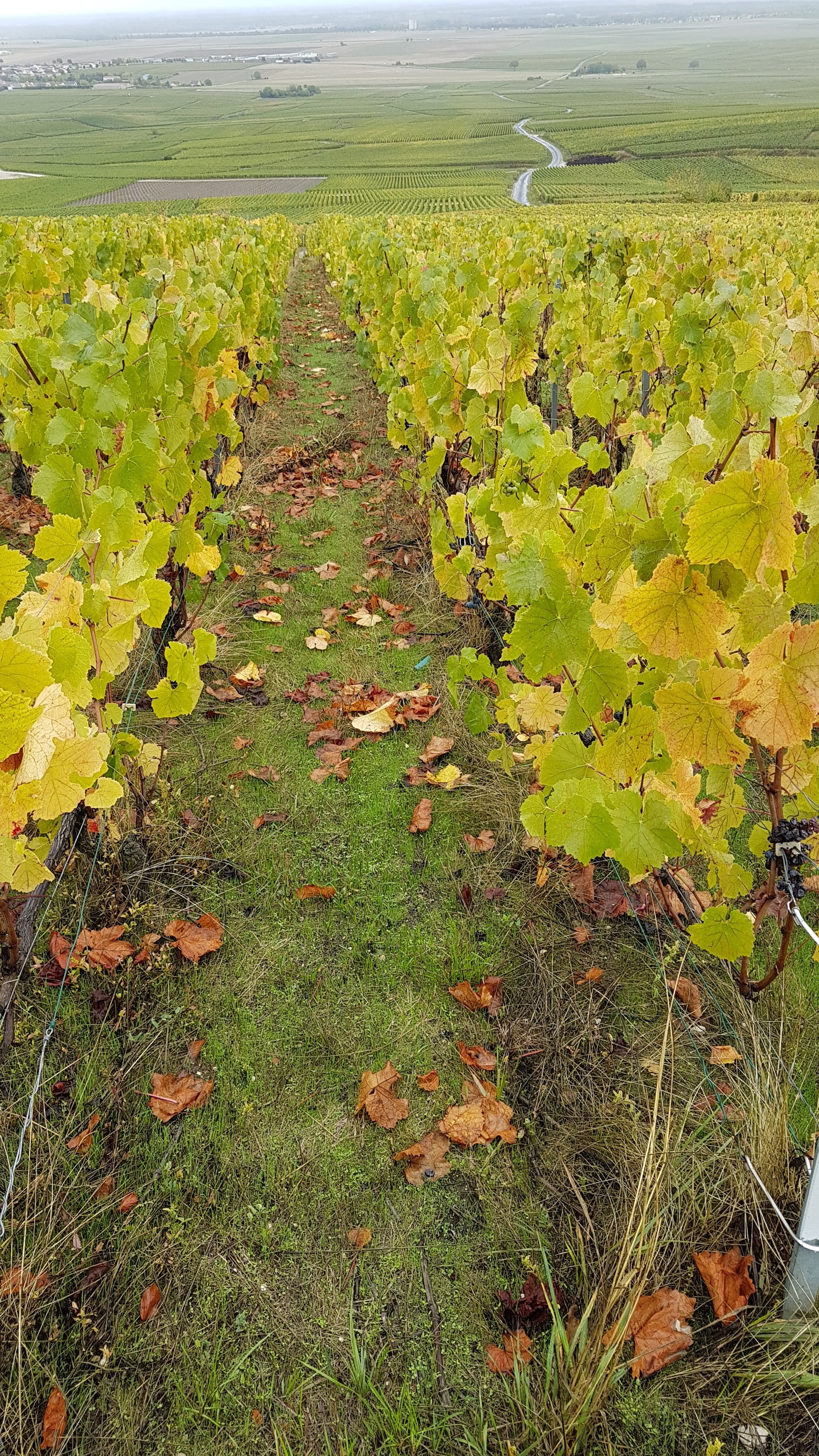 Photo n° 6 de l'avis de David.e fait le 24/10/2020 à 14:54