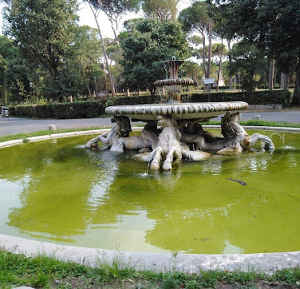 Photos des visiteurs Chambre d'hôtes Bed & Breakfast 