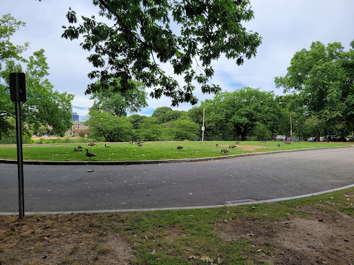 Park «Back Bay Fens», reviews and photos, 100 Park Dr, Boston, MA 02215, USA