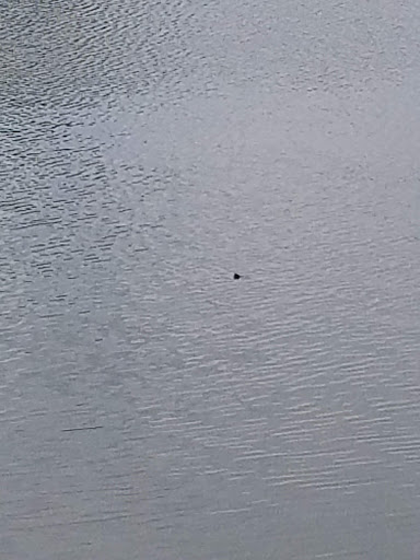 Public Golf Course «Auburn Hills Golf Course», reviews and photos, 443 S 135th St W, Wichita, KS 67235, USA