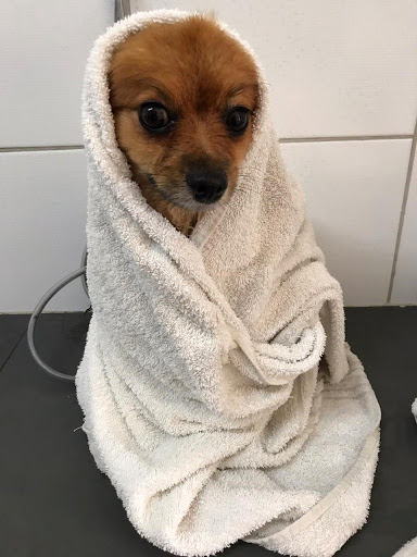 Clínica Veterinaria União em São Paulo - SP