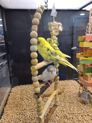 Pet Supply Store «PetSmart», reviews and photos, 2150 Paxton Ln SW, Lilburn, GA 30047, USA