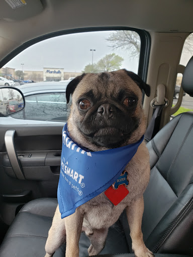 Pet Supply Store «PetSmart», reviews and photos, 1050 McKinley Pl Dr #30, San Marcos, TX 78666, USA