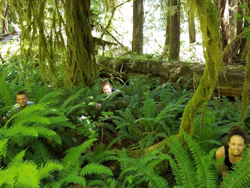 National Park «Olympic National Park», reviews and photos