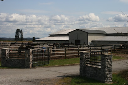 Twin Rivers Equestrian Centre
