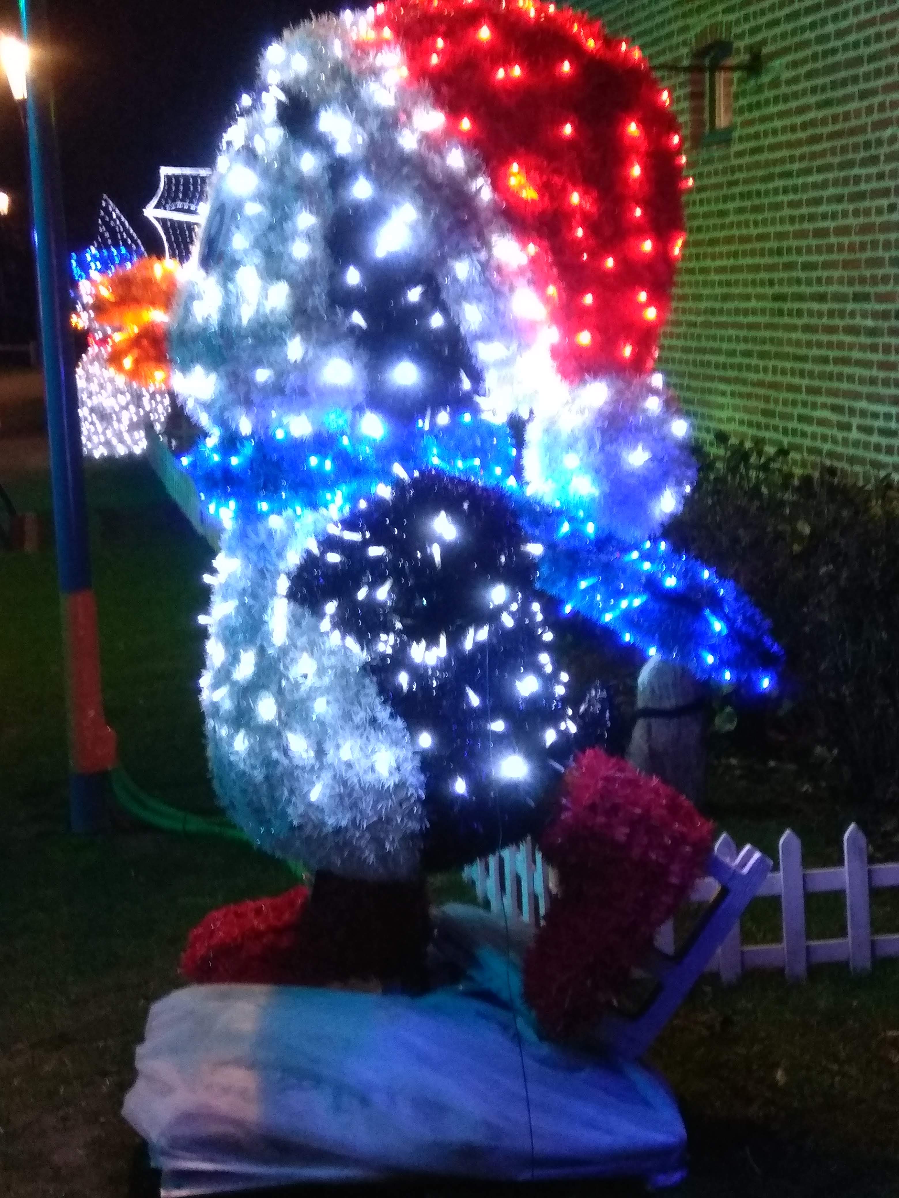 Photo n° 7 de l'avis de Denis.e fait le 19/12/2020 à 21:08