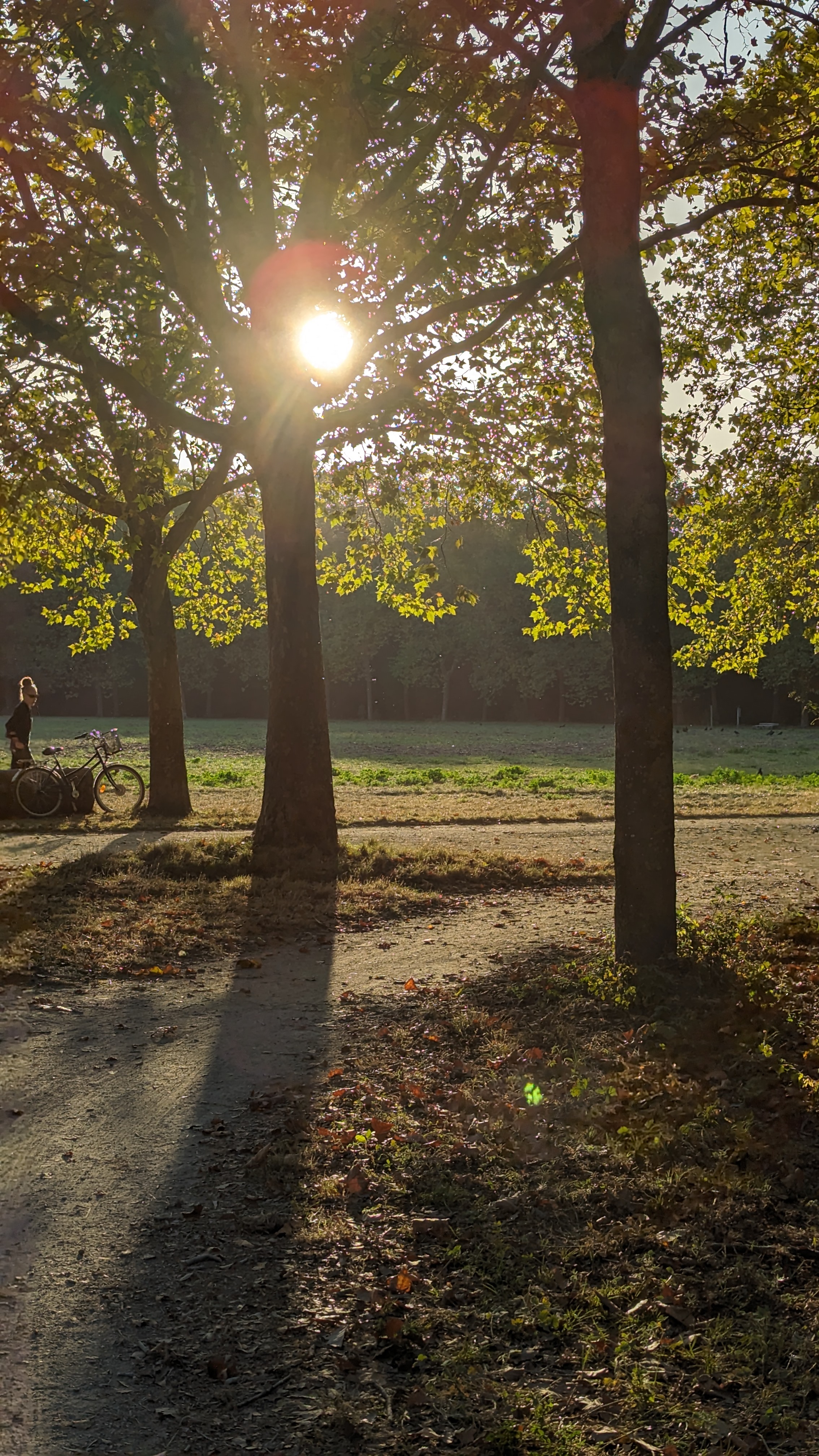 Photo n° 8 de l'avis de Alessandro.t fait le 09/03/2024 à 01:48