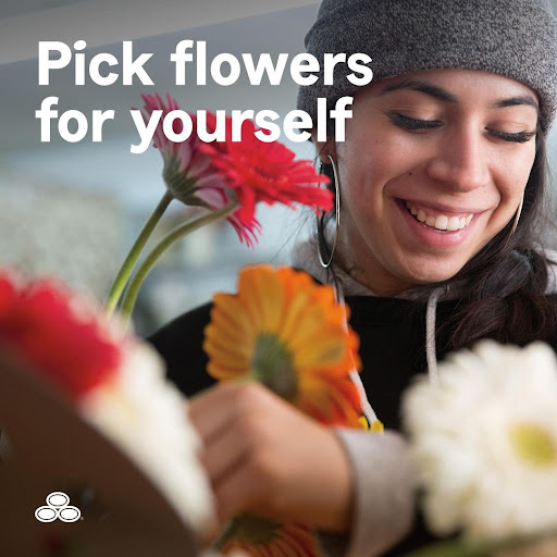 Insurance Agency «Matt Orr - State Farm Insurance Agent», reviews and photos