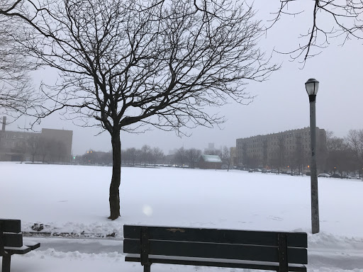 Art Gallery «David Zwirner Gallery», reviews and photos, 525 W 19th St, New York, NY 10011, USA