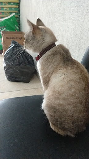 Arca de Noé em Itaquaquecetuba - SP