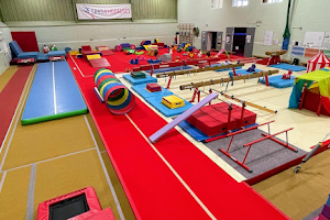 SAADI Gymnastics Club image