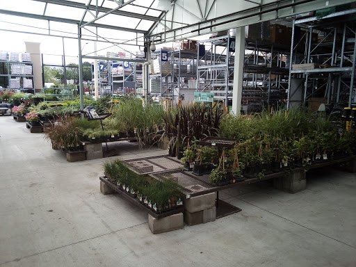 Artificial plant supplier Independence