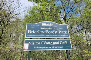 Brierley Forest Park image