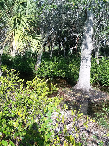 Park «Cypress Preserve Park», reviews and photos, 9020 NW 38th St, Sunrise, FL 33351, USA