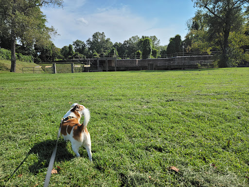 National Park «Fort Hunt Park», reviews and photos, 8999 Fort Hunt Rd, Alexandria, VA 22308, USA